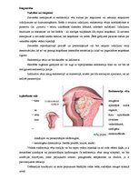 Summaries, Notes 'Endometrija vēzis', 5.