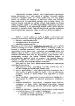 Research Papers 'Dienesta darba organizācijas metodika un kultūras aspekti', 3.