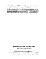 Business Plans 'Pakalpojumu sniegšanas organizācija, skaistumkopšana', 10.