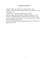 Essays 'Labā ticība cilvēktiesībās', 7.