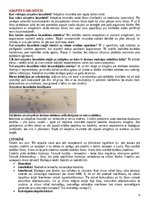 Summaries, Notes 'Imunitāte', 4.