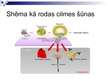 Presentations 'Cilmes šūnas', 5.