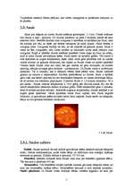 Research Papers 'No visuma līdz pat saules sistēmai', 5.