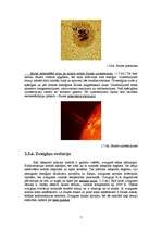 Research Papers 'No visuma līdz pat saules sistēmai', 7.