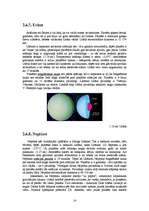 Research Papers 'No visuma līdz pat saules sistēmai', 14.