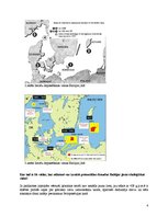 Research Papers 'Baltijas jūra - mirusi jūra', 4.