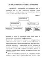 Research Papers 'Kapitālsabiedrību dibināšana un likvidācija', 6.