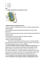Summaries, Notes 'Medicīnas bioloģijas kolokvija atbildes', 14.