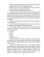 Term Papers 'Finanšu analīze kokapstrādes uzņēmumā', 23.
