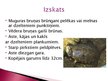 Presentations 'Purva bruņurupucis', 3.