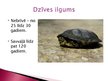 Presentations 'Purva bruņurupucis', 8.