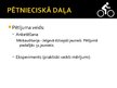 Presentations 'Velosipēds kā transporta līdzeklis', 9.