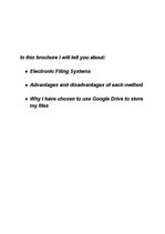 Research Papers 'Eloctrinic Filing Systems', 2.