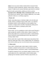 Summaries, Notes 'Masāžas vēsture, veidi un pielietojums mūsdienu praksē', 2.