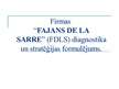 Presentations 'Uzņēmuma "Fajans de la sarre" diagnostika un stratēģijas formulējums', 1.