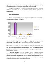 Term Papers 'SIA "LDZ Cargo" finanšu stāvokļa analīze un tā uzlabošanas rezerves', 45.