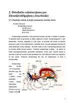 Research Papers 'Helicerāti (Chelicerata) un zirnekļveidīgie (Arachnida)', 5.