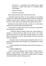 Research Papers 'Rīcībpolitikas pētījums "Pedagogu trūkums"', 16.