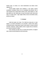 Research Papers 'Čigāni - etniskās minoritātes Latvijā', 10.