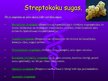 Presentations 'Streptokoki', 8.