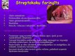 Presentations 'Streptokoki', 18.