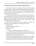 Research Papers 'SIA „TietoEnator Alise” saimnieciskās darbības analīze', 5.