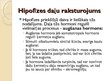 Presentations 'Hipofīze', 3.