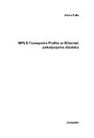 Term Papers 'MPLS transporta profils ar Ethernet pakalpojuma atbalstu', 4.