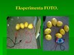 Presentations 'Citrona baterija', 3.