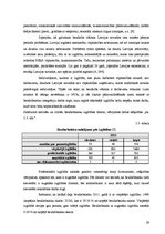 Term Papers 'Profesionālās pilnveides iespējas bezdarbniekiem Talsu novadā', 29.