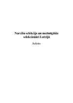 Research Papers 'Narcišu selekcija un nozīmīgākie selekcionāri Latvijā', 1.