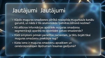 Presentations 'Muguras smadzenes', 15.