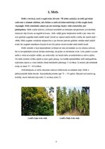 Research Papers 'Mežs, mežu ugunsgrēki un to sekas', 4.