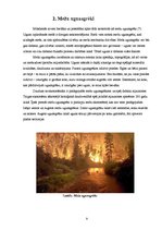 Research Papers 'Mežs, mežu ugunsgrēki un to sekas', 9.