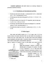Research Papers 'Nafta', 5.