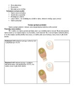 Summaries, Notes 'Stomas', 2.