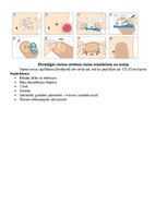 Summaries, Notes 'Stomas', 5.