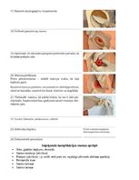 Summaries, Notes 'Stomas', 8.