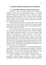 Practice Reports 'Grāmatvedības prakses atskaite', 12.