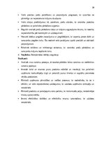 Practice Reports 'Grāmatvedības prakses atskaite', 29.