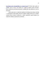 Practice Reports 'Grāmatvedības prakses atskaite', 31.