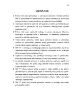 Practice Reports 'Grāmatvedības prakses atskaite', 32.