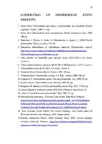 Practice Reports 'Grāmatvedības prakses atskaite', 34.