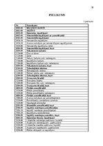 Practice Reports 'Grāmatvedības prakses atskaite', 37.