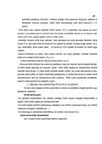 Term Papers 'Administratīvais process Valsts darba inspekcijā', 18.