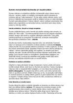 Summaries, Notes 'Šumeru vēsture, kultūra, mitoloģija, sabiedrība un kultūras mantojums', 8.
