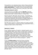 Summaries, Notes 'Šumeru vēsture, kultūra, mitoloģija, sabiedrība un kultūras mantojums', 14.