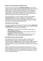 Summaries, Notes 'Šumeru vēsture, kultūra, mitoloģija, sabiedrība un kultūras mantojums', 20.
