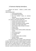 Term Papers 'SIA "Autoserviss" gada pārskats un tā sastāvdaļu analīze', 8.
