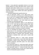 Term Papers 'SIA "Autoserviss" gada pārskats un tā sastāvdaļu analīze', 13.
